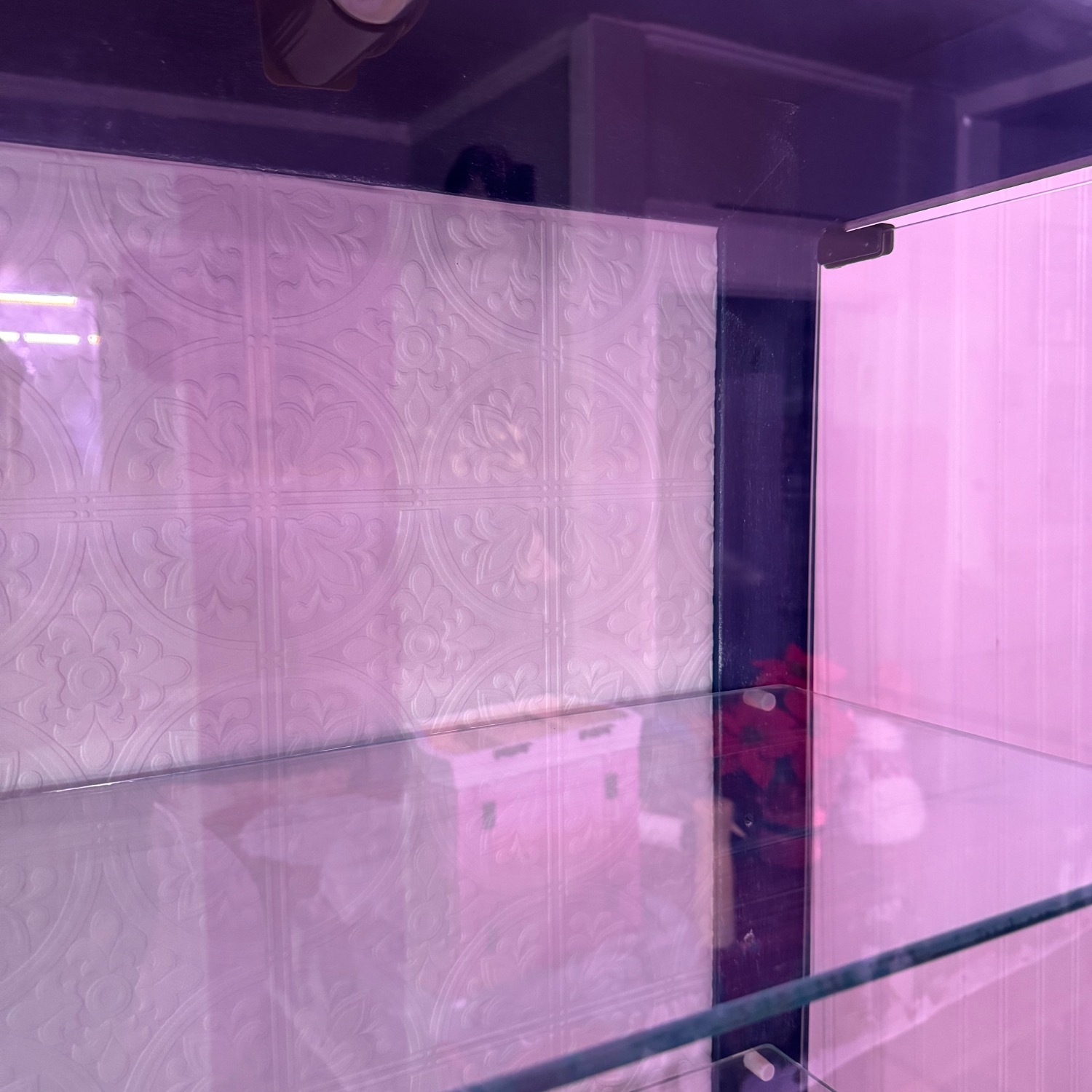 Lighted Curio Cabinet - image-5