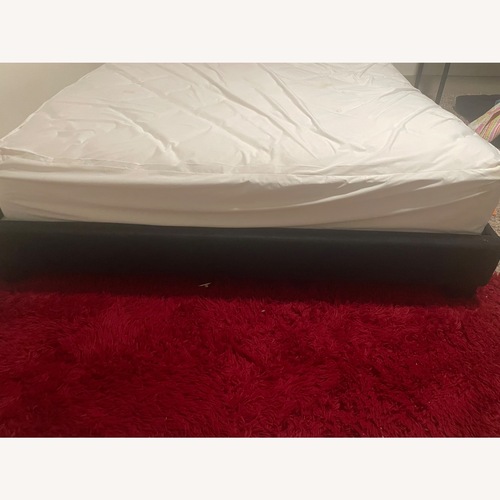 Used Black Velvet Queen Bed for sale on AptDeco