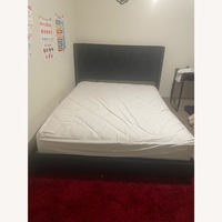 Black Velvet Queen Bed