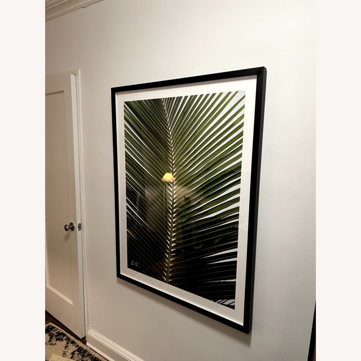 Tim Klein - "Tropical Palm" - image-2