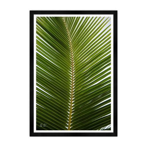 Used Tim Klein - "Tropical Palm" for sale on AptDeco