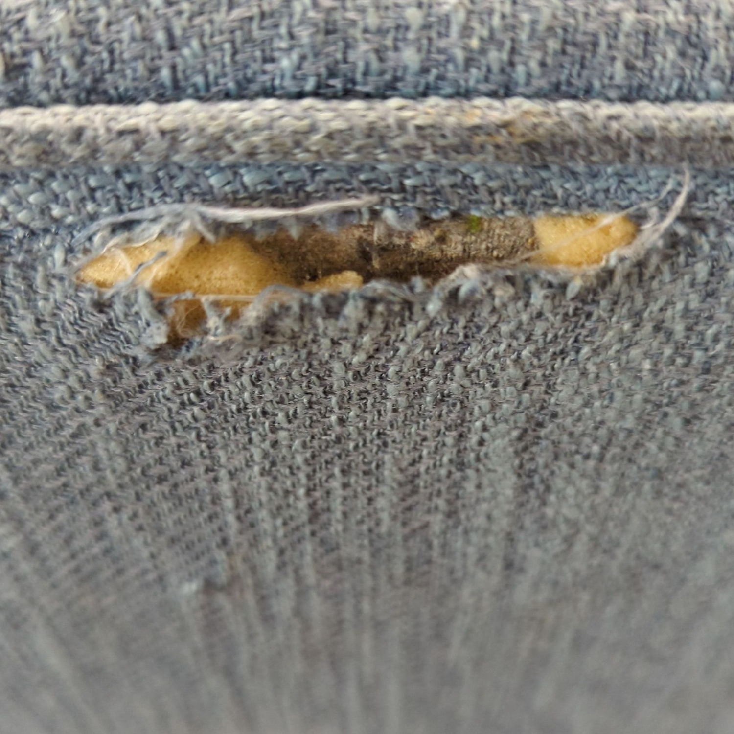 Noble House Home Wingback Button Tufted Bar Stool - image-5