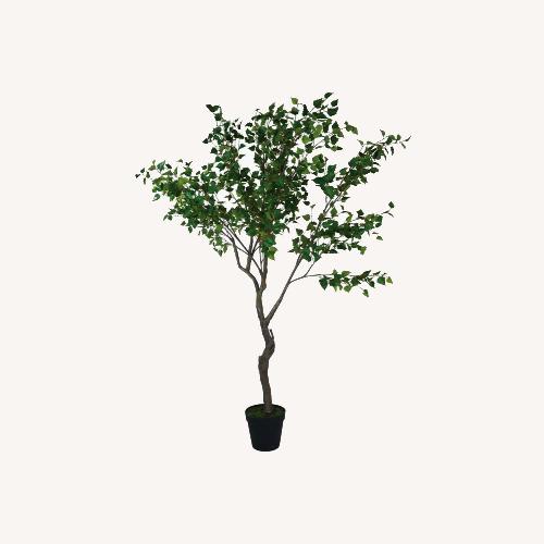 Used Havenly Faux Birch Tree in Pot for sale on AptDeco