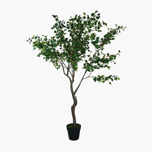 Used Havenly Faux Birch Tree in Pot for sale on AptDeco