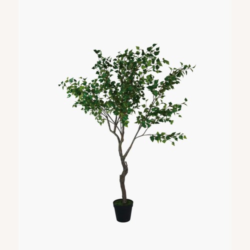 Used Havenly Faux Birch Tree in Pot for sale on AptDeco