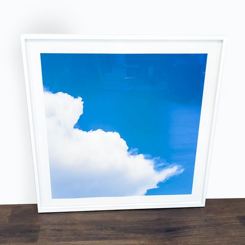 Used Kimberly Carr Harmon Photography Framed White for sale on AptDeco