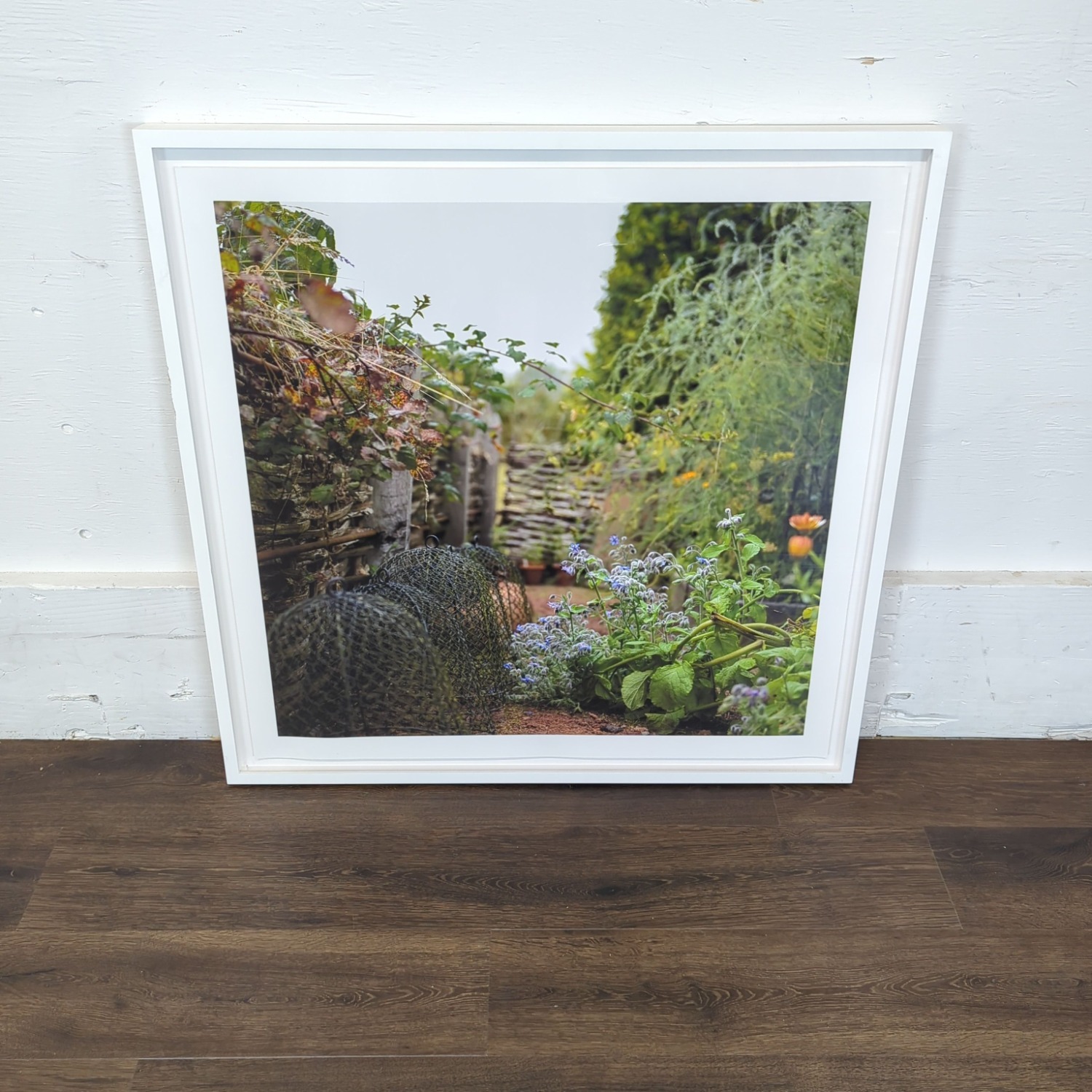 Kimberly Carr Harmon Photography Framed - image-2