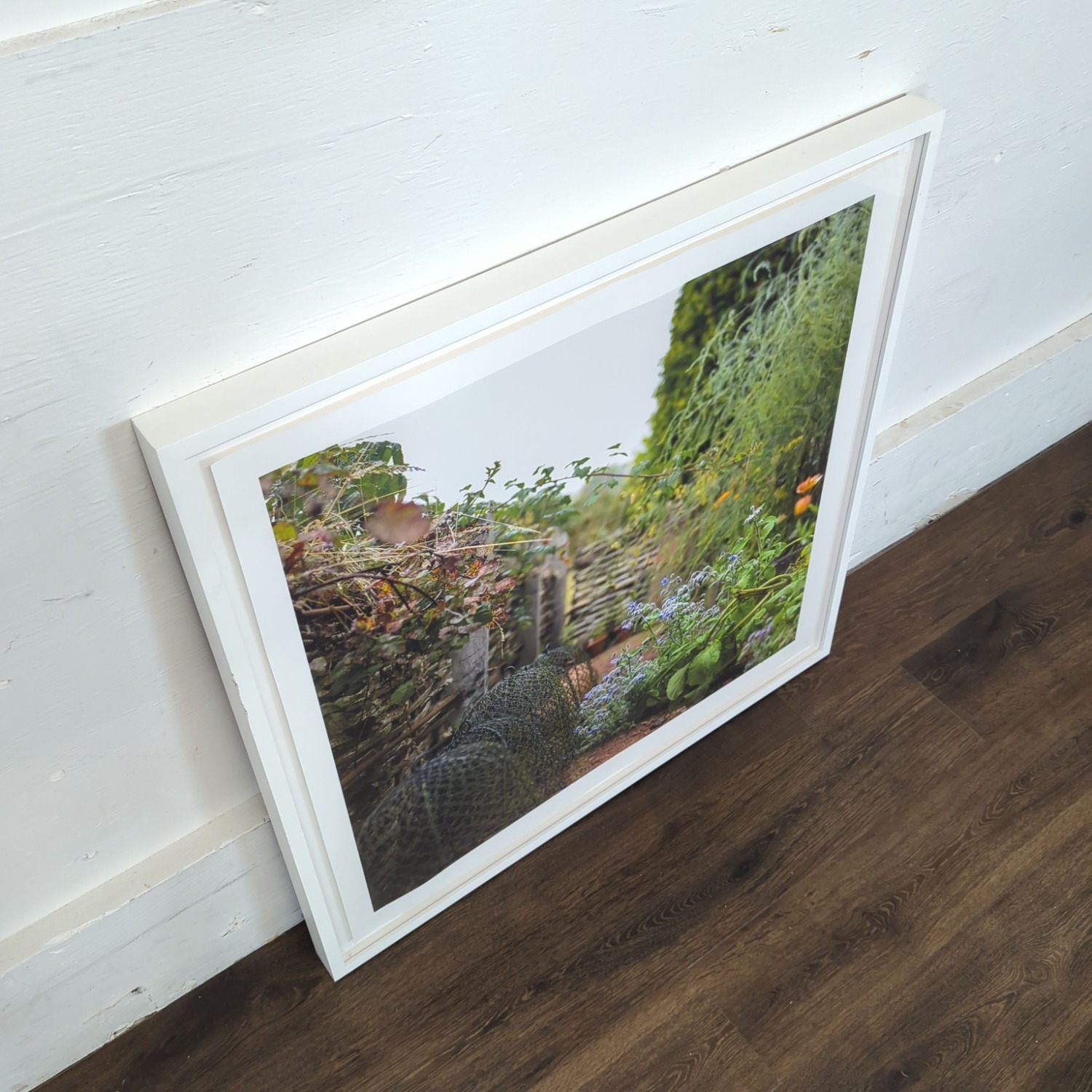 Kimberly Carr Harmon Photography Framed - image-3