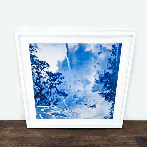 Used Kimberly Carr Harmon Photography Framed  for sale on AptDeco
