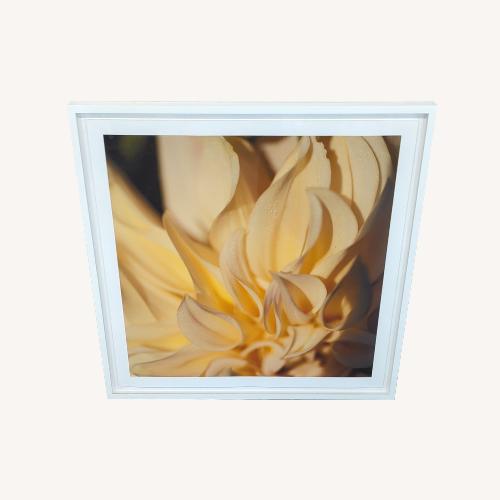 Used Kimberley Carr Harmon Photography  for sale on AptDeco