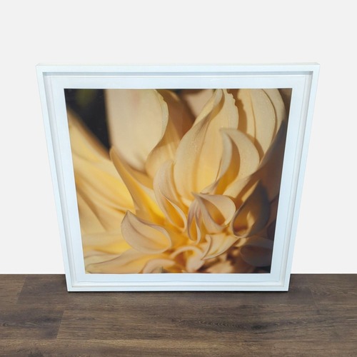 Used Kimberley Carr Harmon Photography for sale on AptDeco