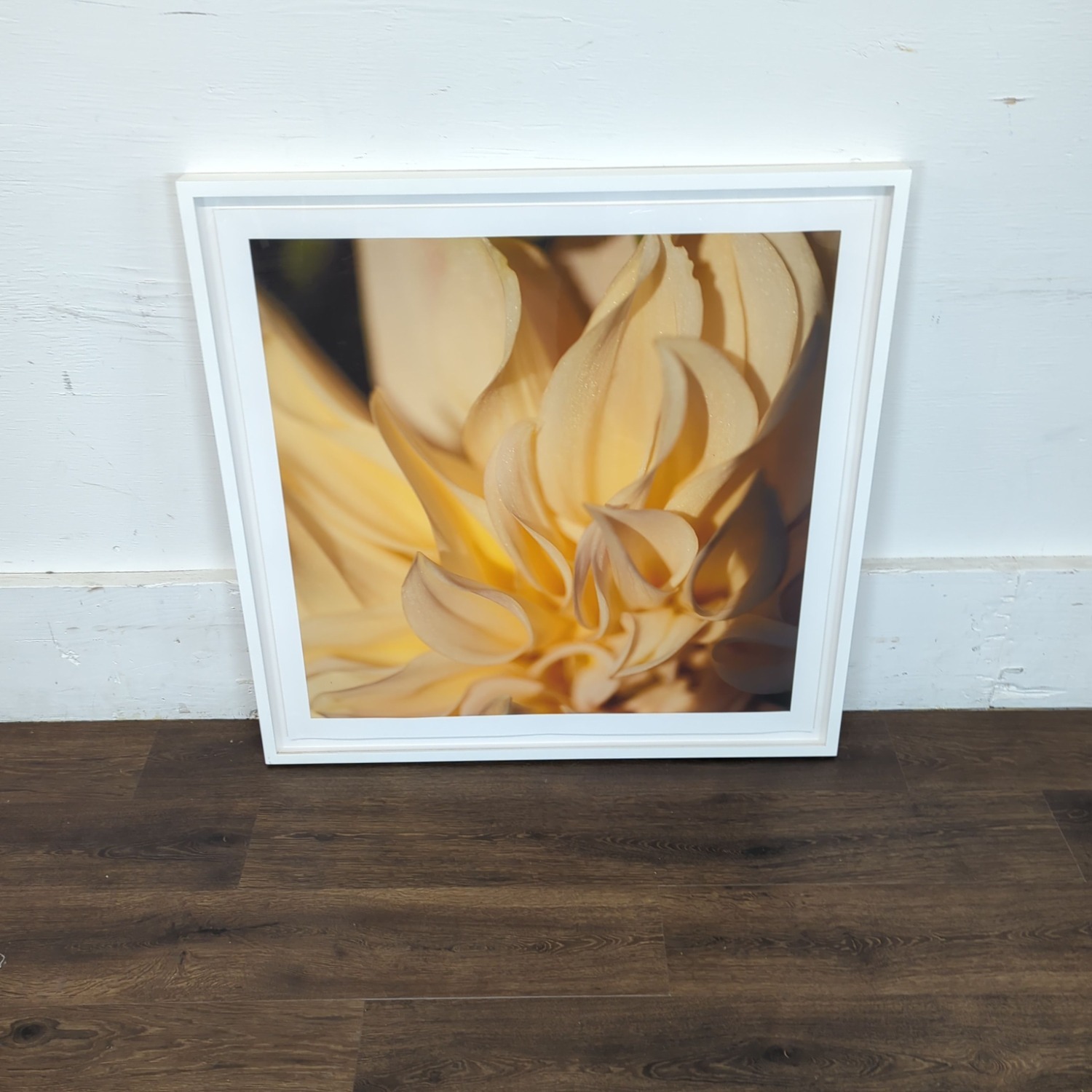 Kimberley Carr Harmon Photography  - image-4