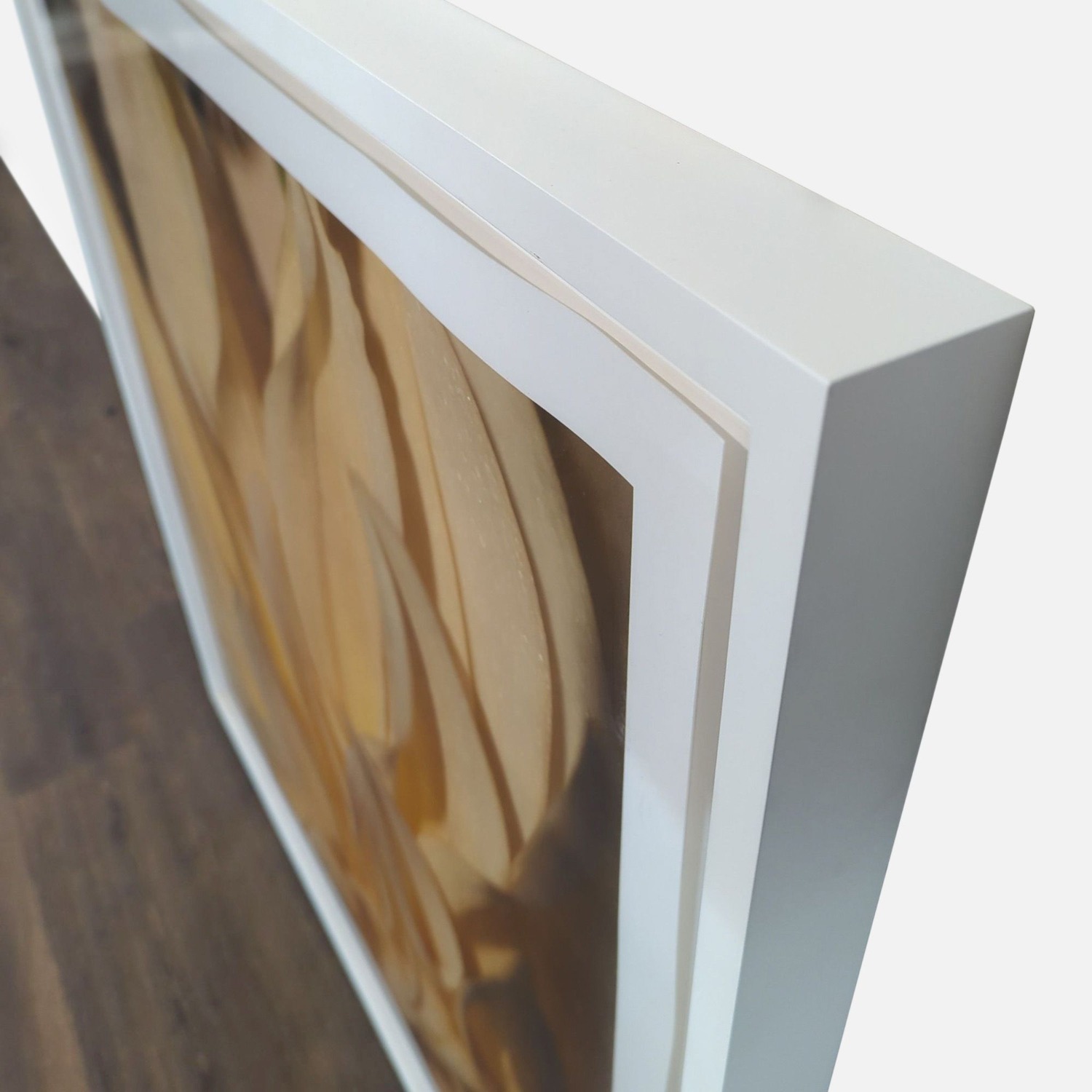 Kimberley Carr Harmon Photography  - image-3