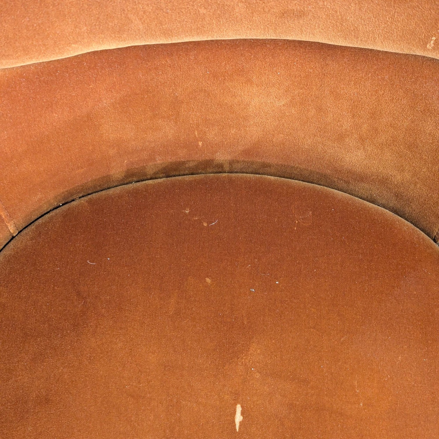 CB2 Azalea Mink Counter Stool - image-8