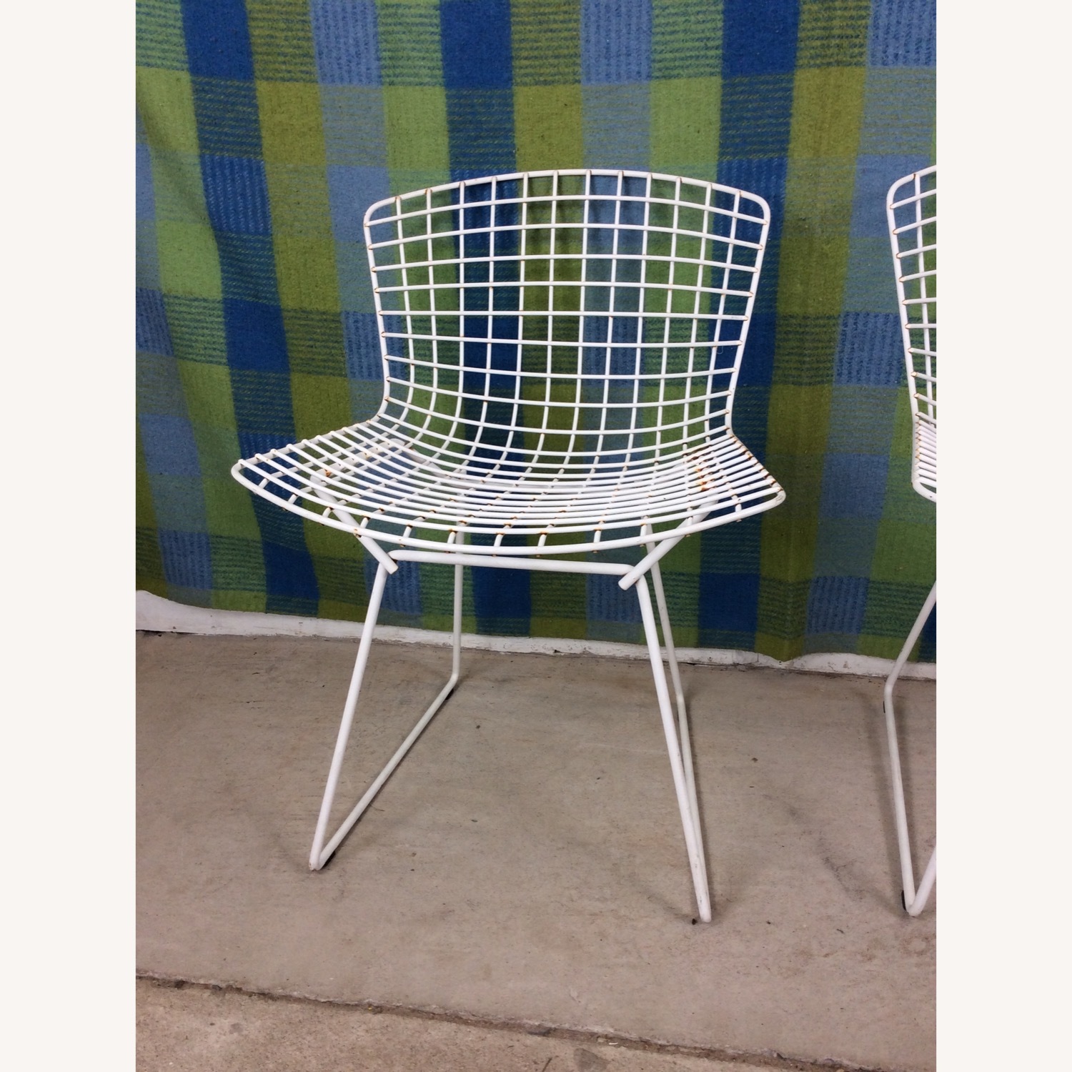 Set of 6 White Metal Chairs by Bertoia for Knoll - image-13