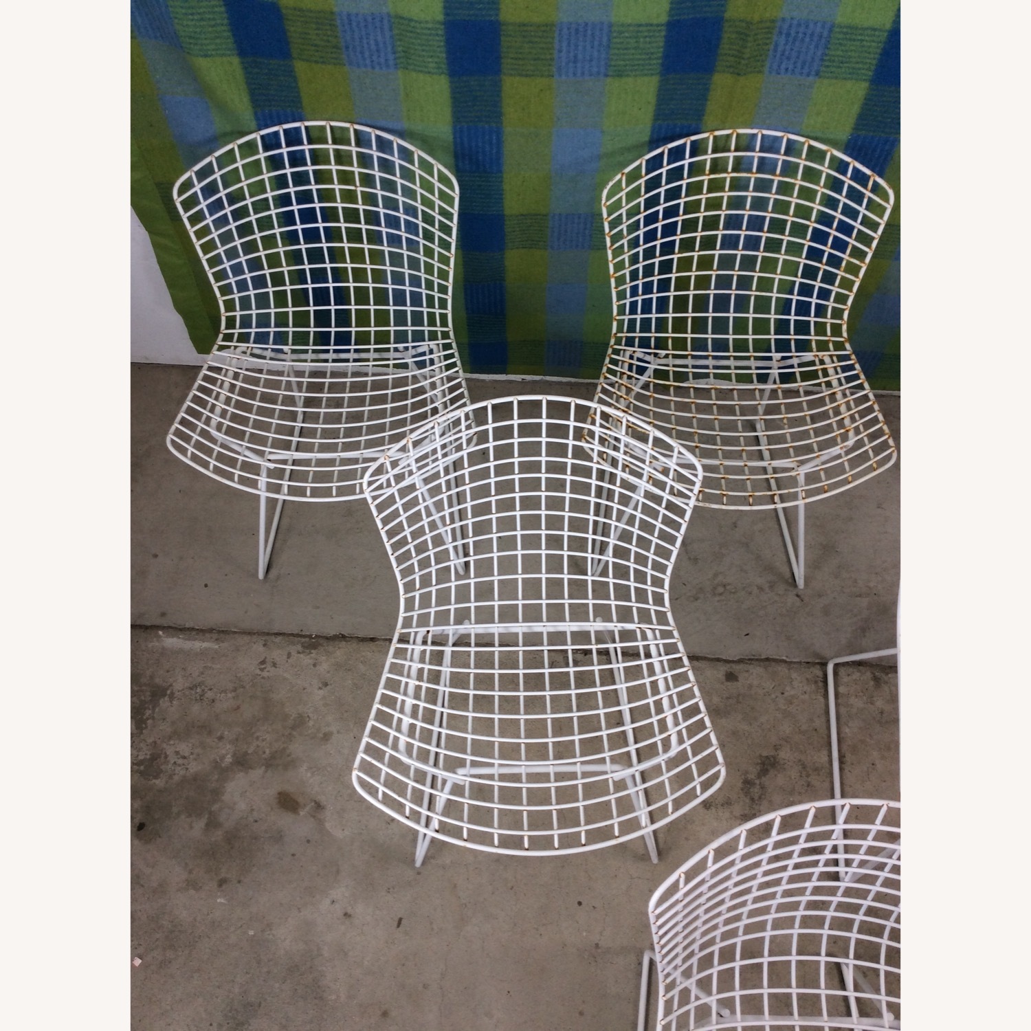 Set of 6 White Metal Chairs by Bertoia for Knoll - image-10