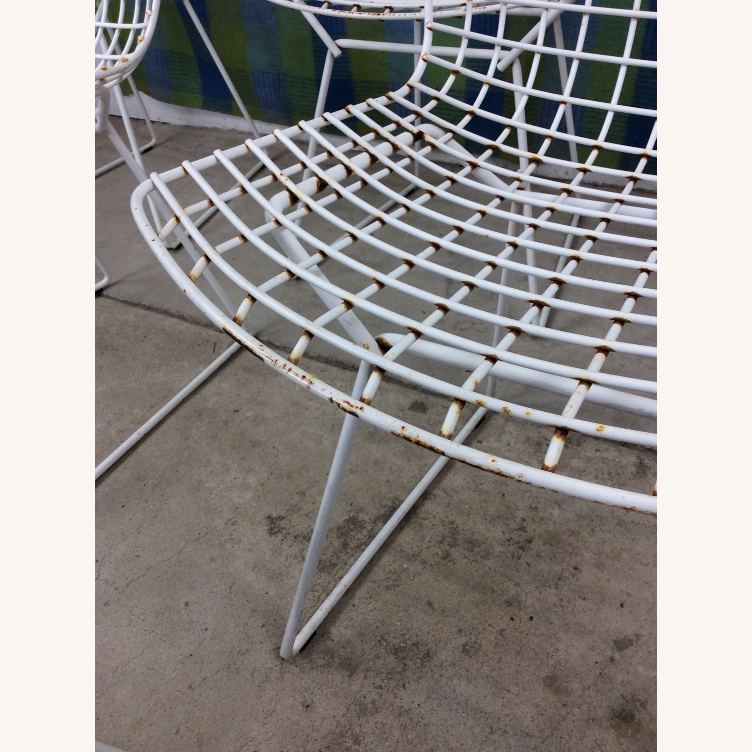 Set of 6 Metal Chairs by Harry Bertoia for Knoll - image-7
