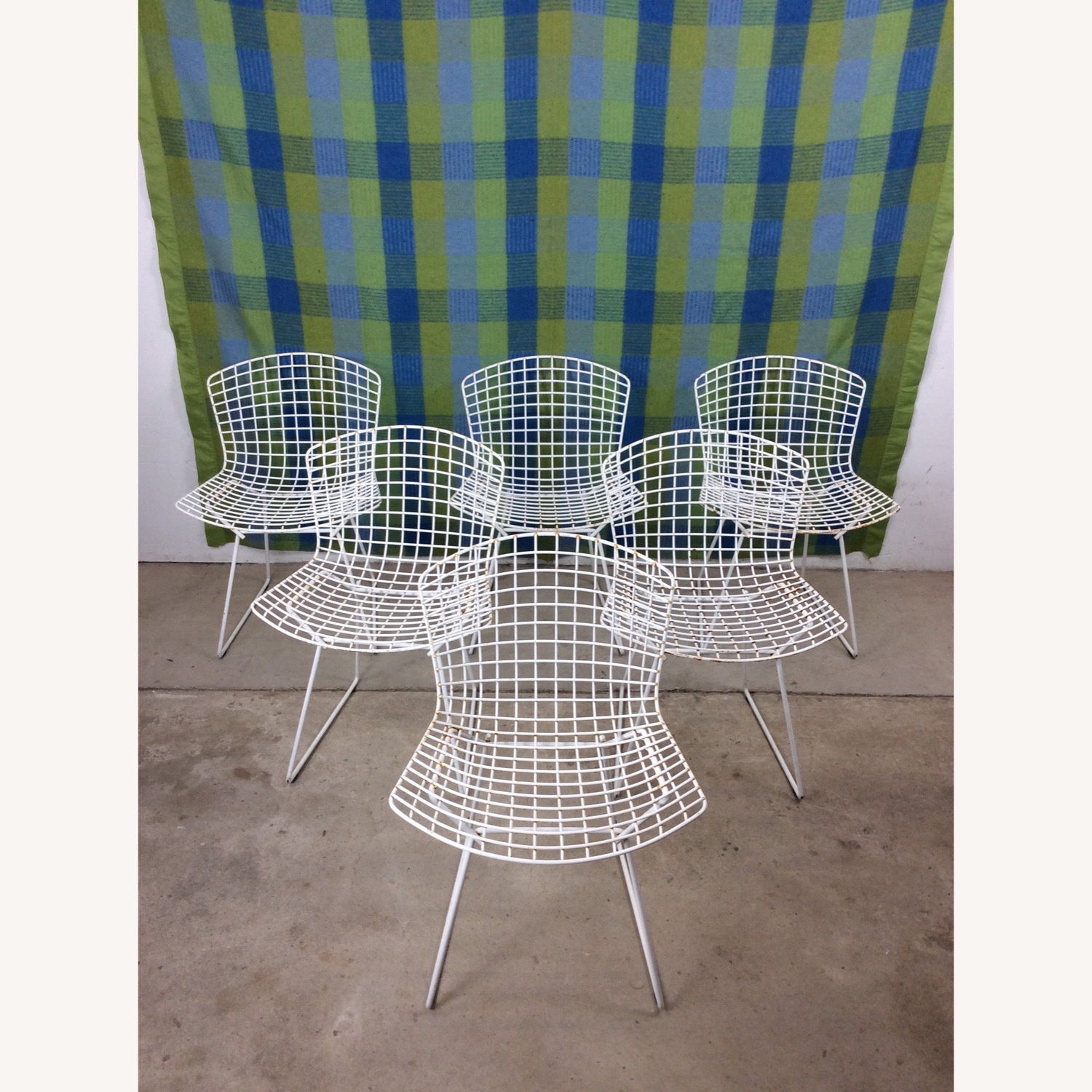 Set of 6 Metal Chairs by Harry Bertoia for Knoll - image-3