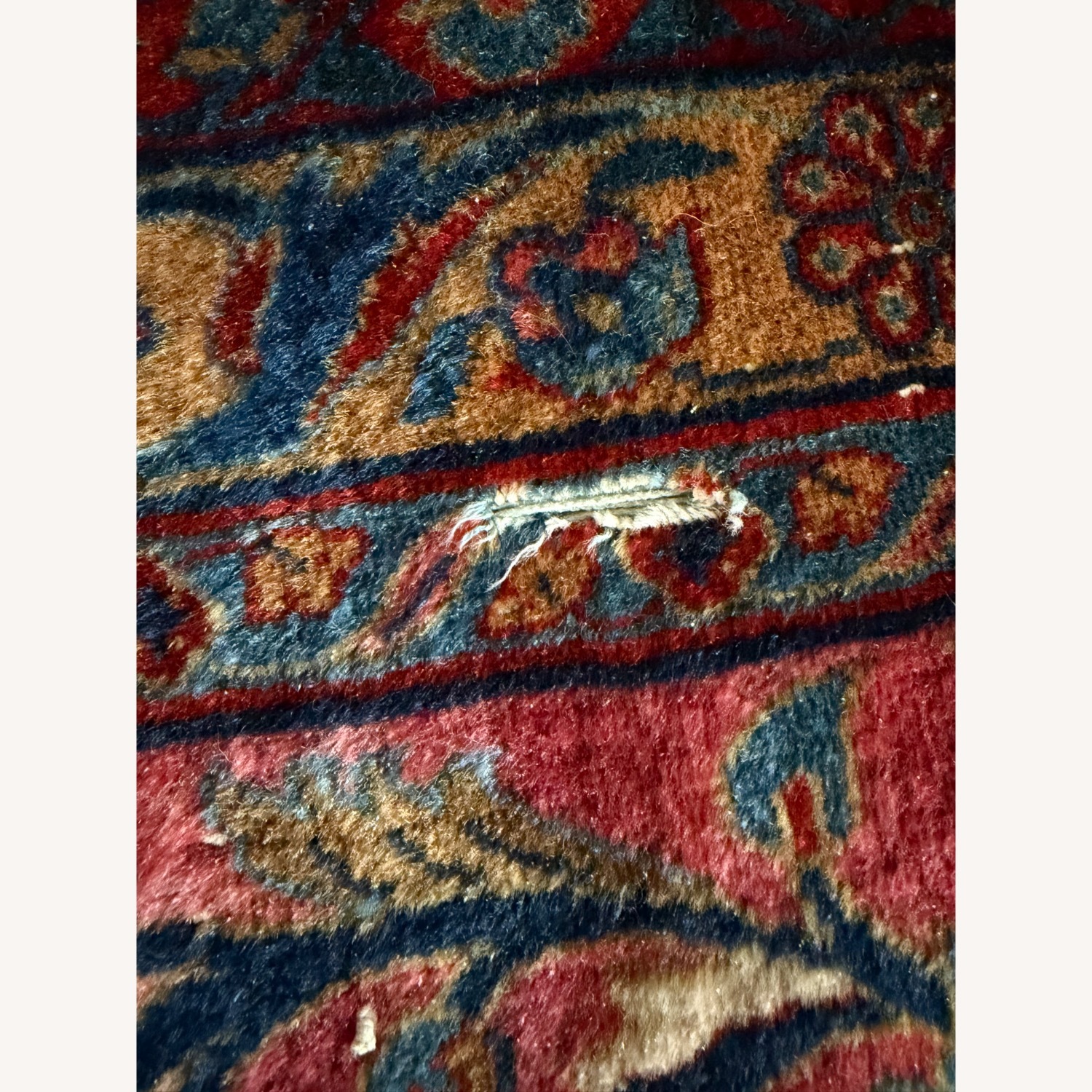 Antique Royal Kashan c. 1920 Rug - image-4