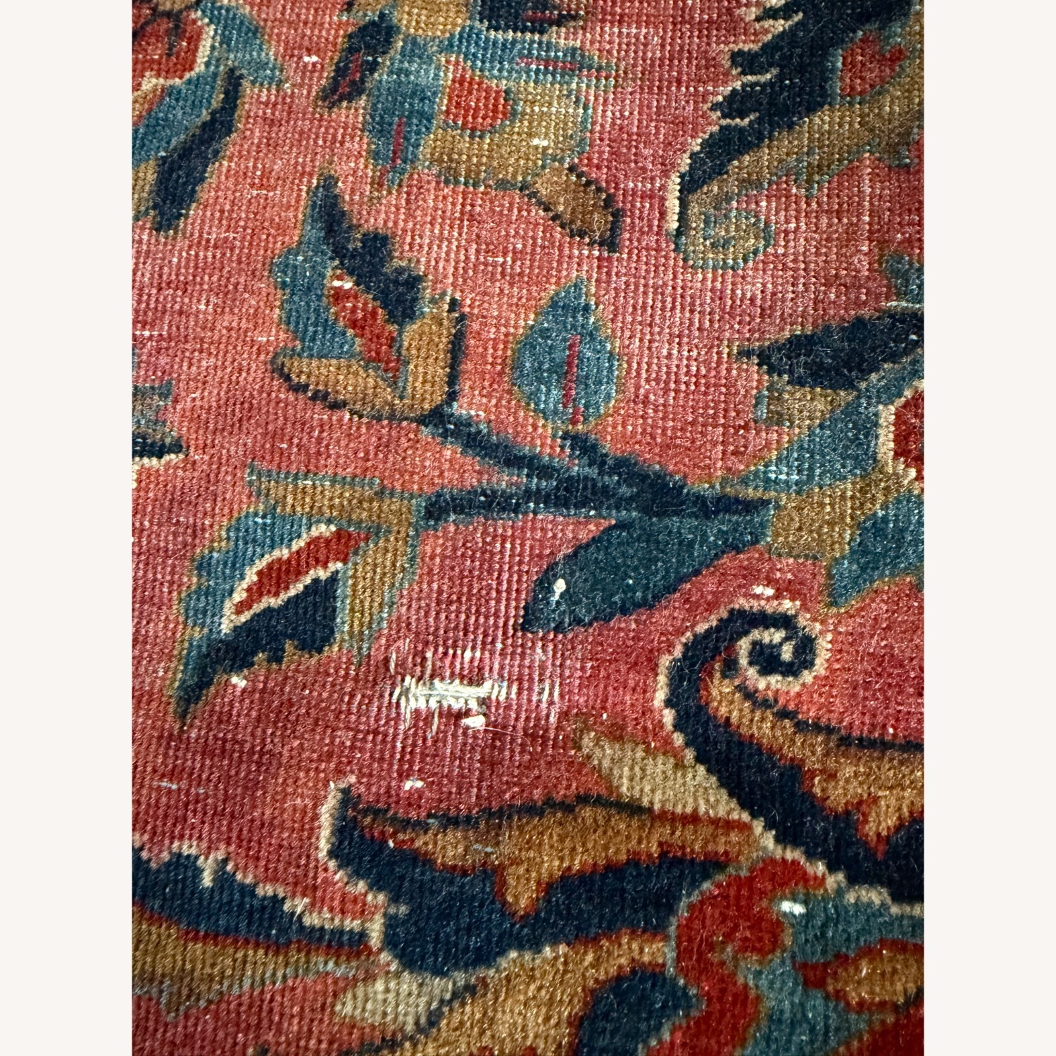 Antique Royal Kashan c. 1920 Rug - image-5