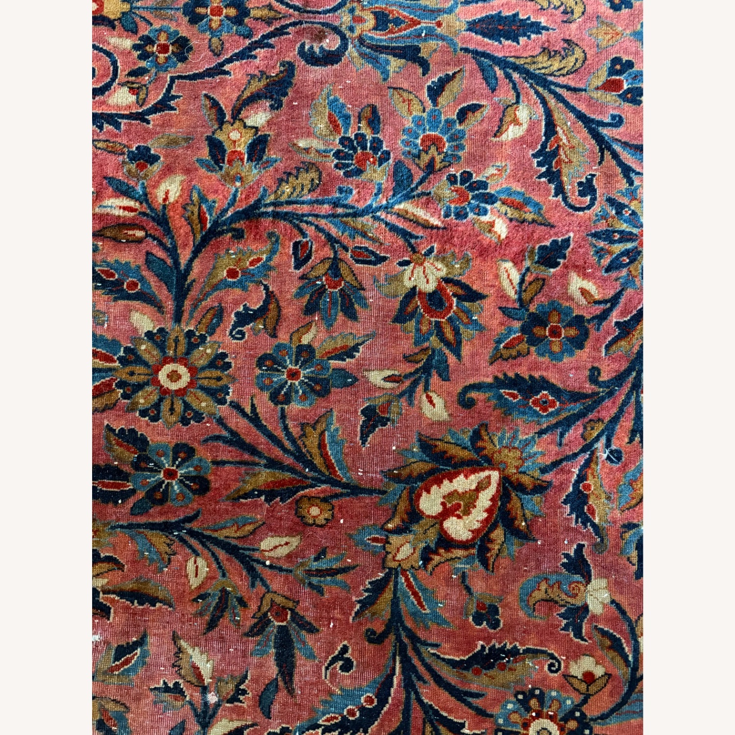 Antique Royal Kashan c. 1920 Rug - image-2
