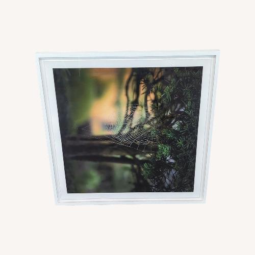Used Kimberley Carr Harmon Photography Framed Spider for sale on AptDeco