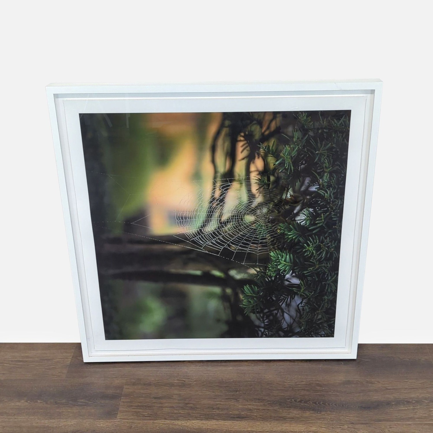 Kimberley Carr Harmon Photography Framed Spider - image-0