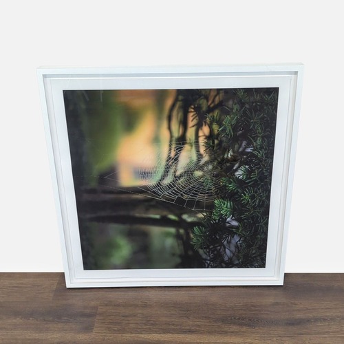 Used Kimberley Carr Harmon Photography Framed Spider for sale on AptDeco