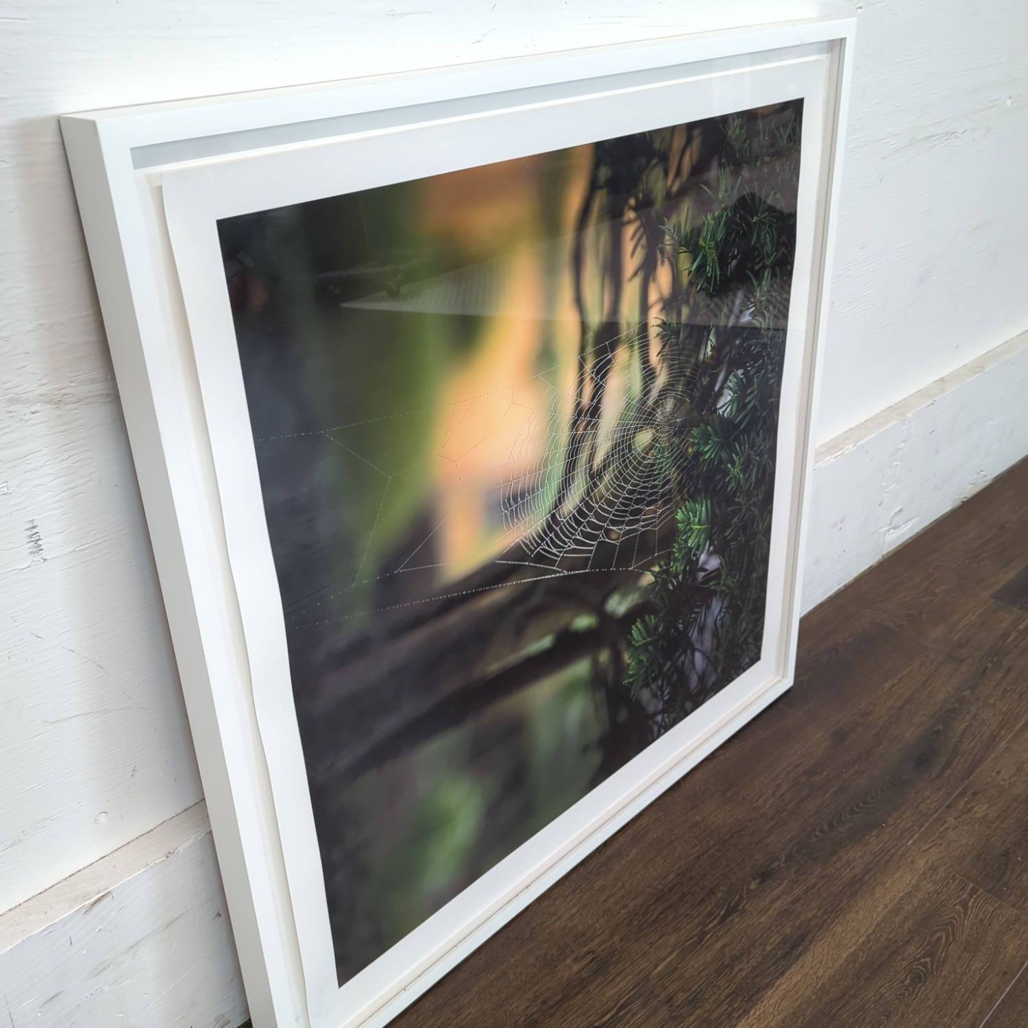 Kimberley Carr Harmon Photography Framed Spider - image-5