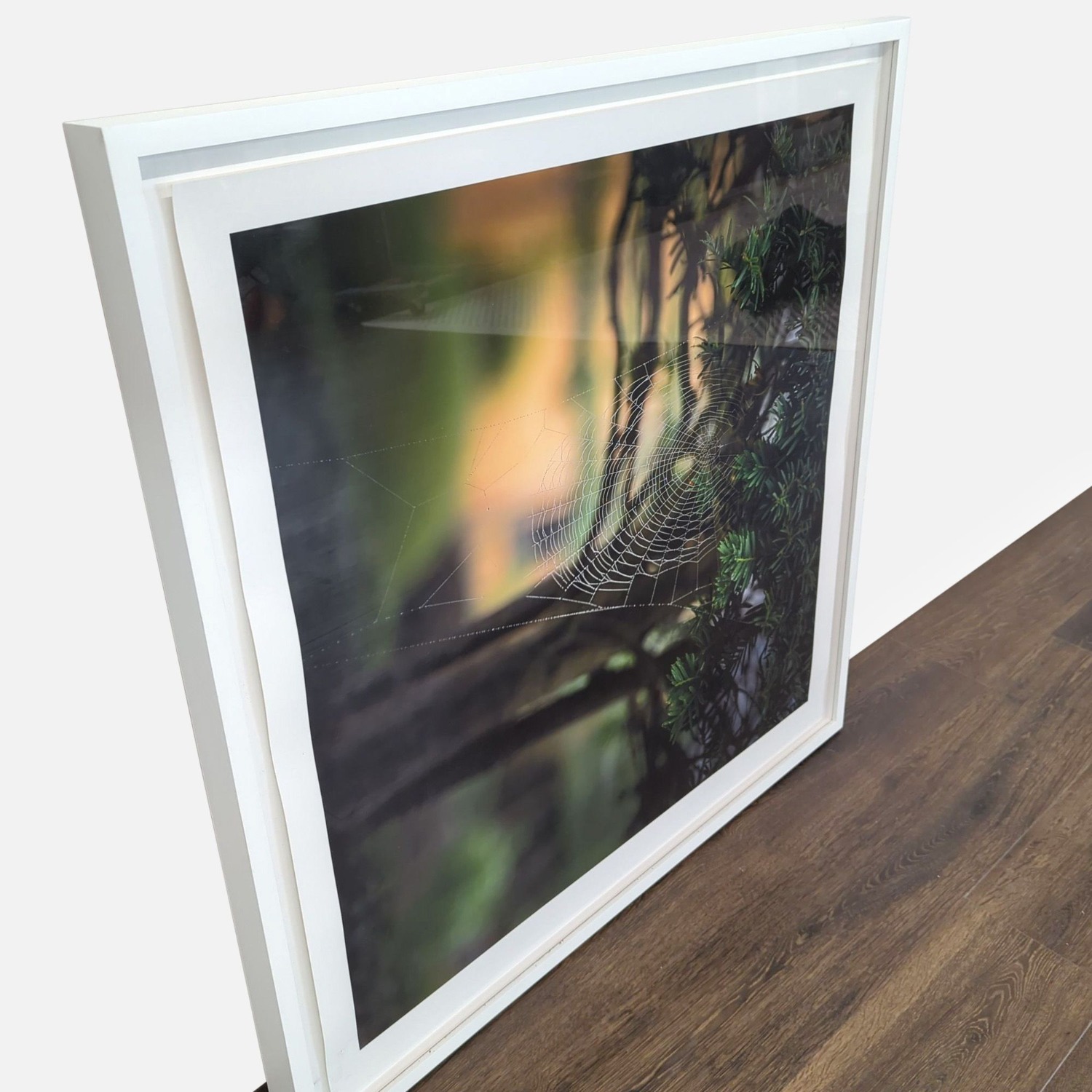 Kimberley Carr Harmon Photography Framed Spider - image-1