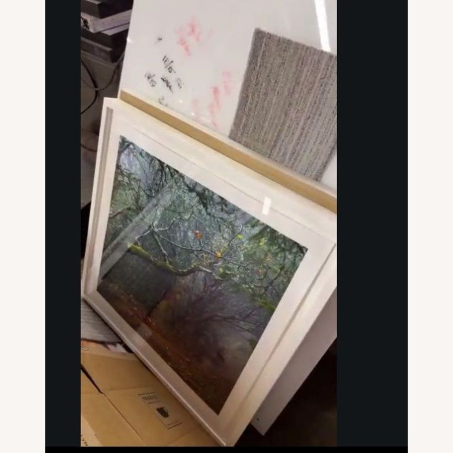 Kimberley Carr Harmon Photography Framed Spider - image-4