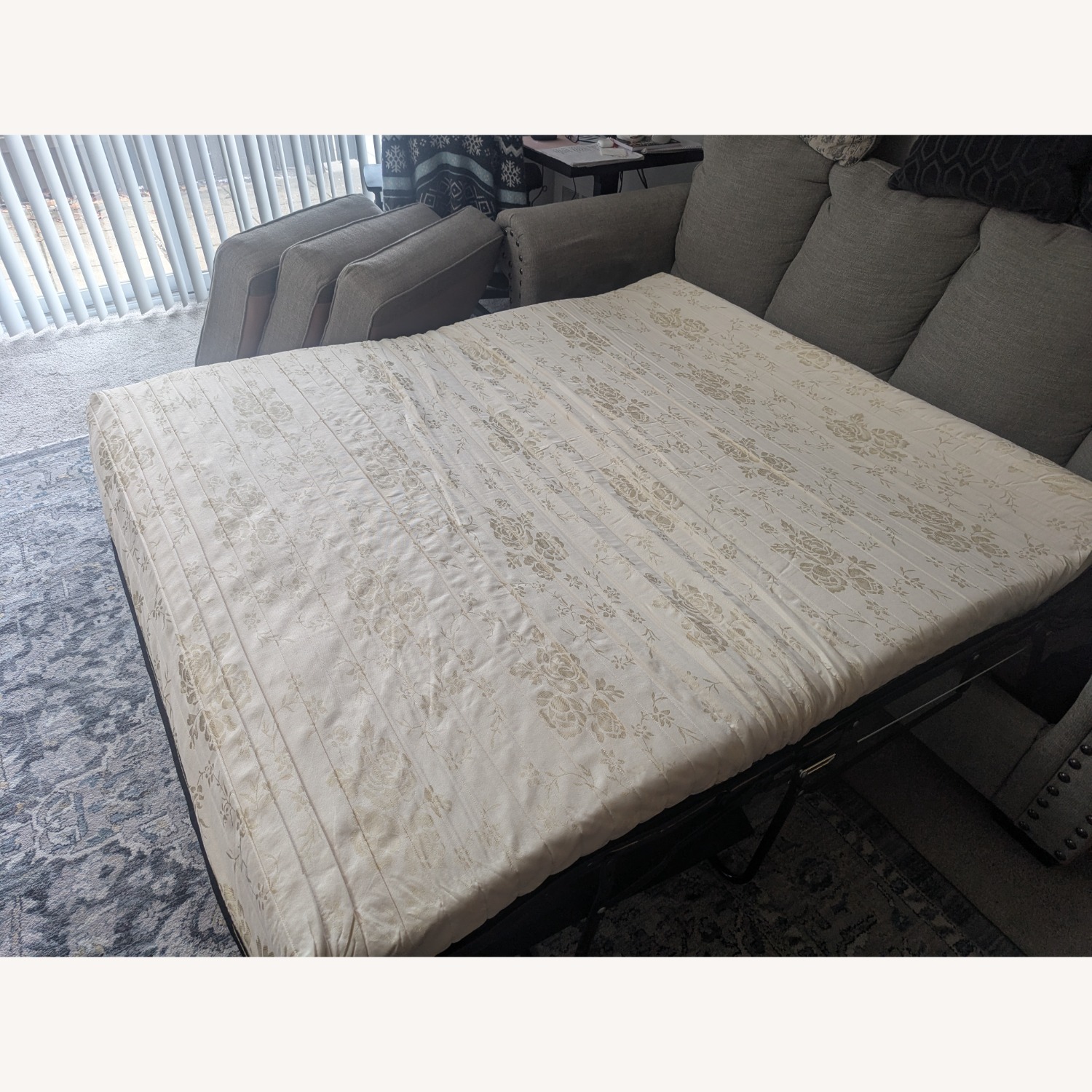 Gaelon Queen Sofa Sleeper - Dune  - image-7