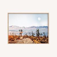 Desert Super Moon Framed Wall Art