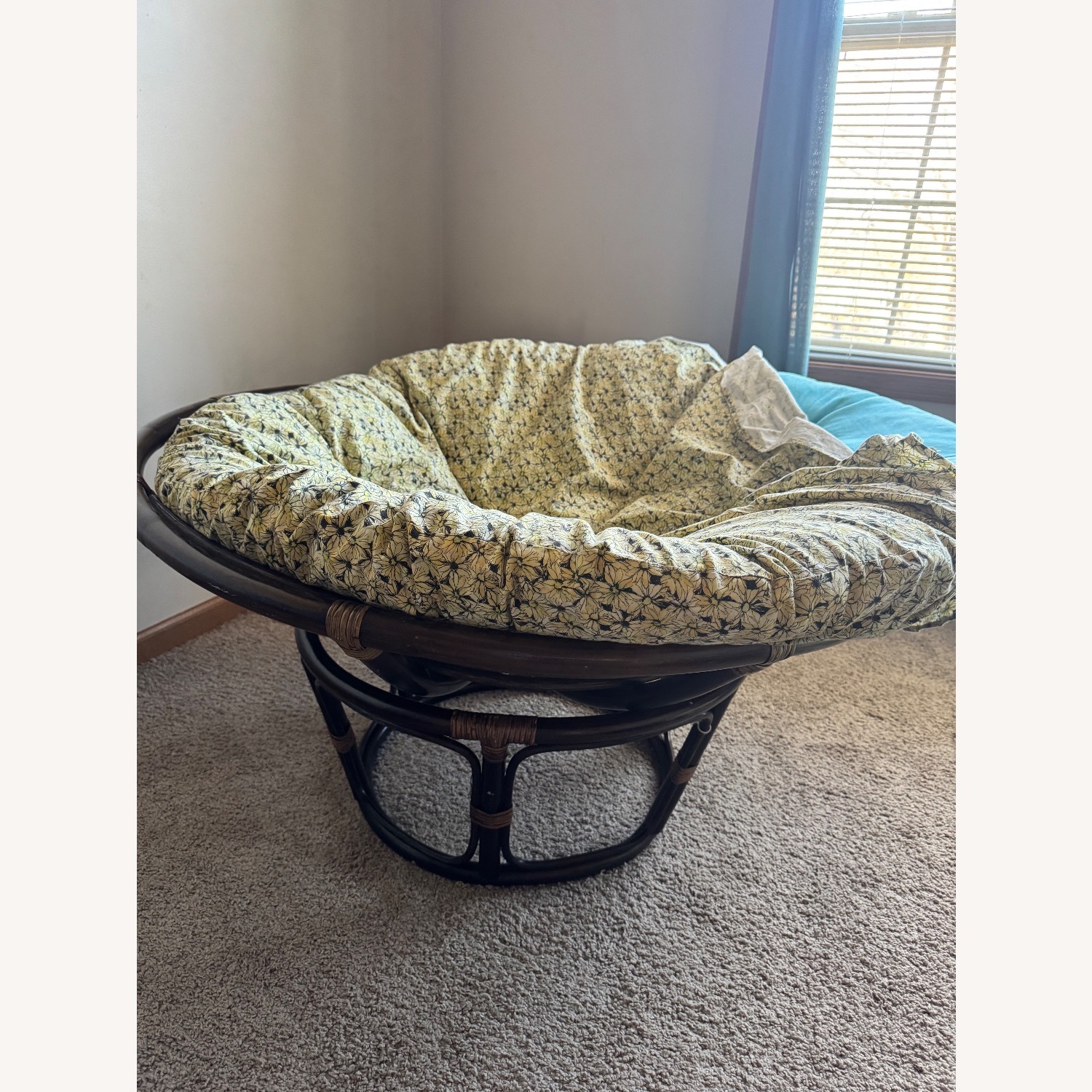 Papasan with Cover - image-4