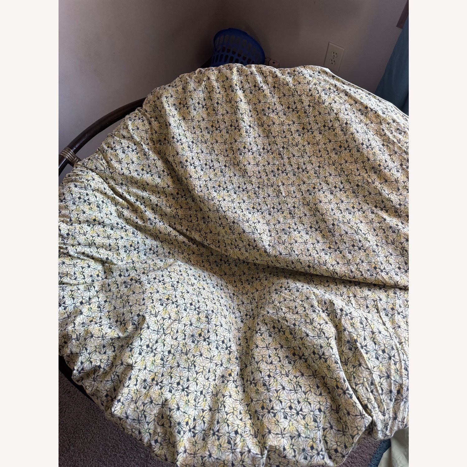 Papasan with Cover - image-1