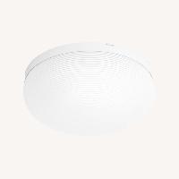 Smart Color Changing Ceiling Light 