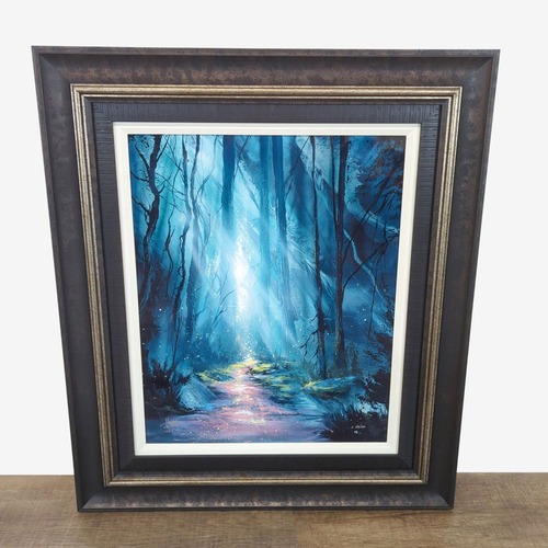 Used Shine the Way‚ by Ashton Howard for sale on AptDeco