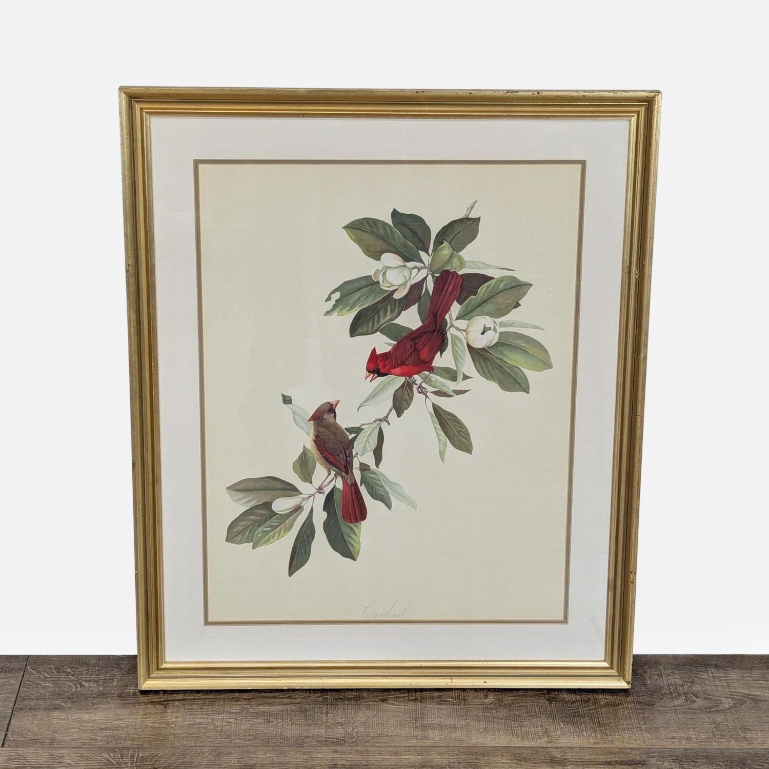 Framed Art Print Titled Cardinal by Roger Tory  - image-2