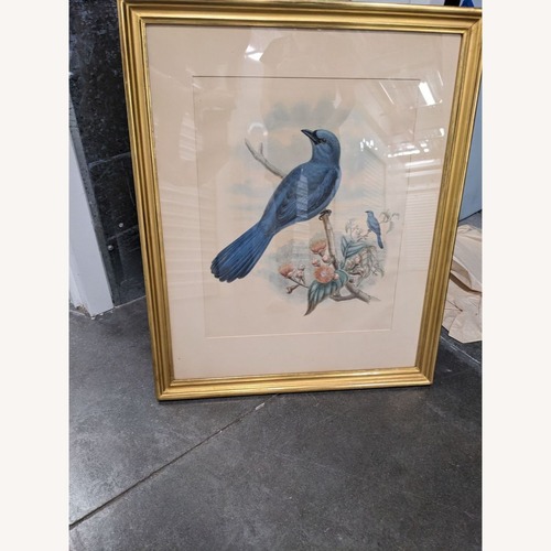 Used Framed Bird Art Print for sale on AptDeco