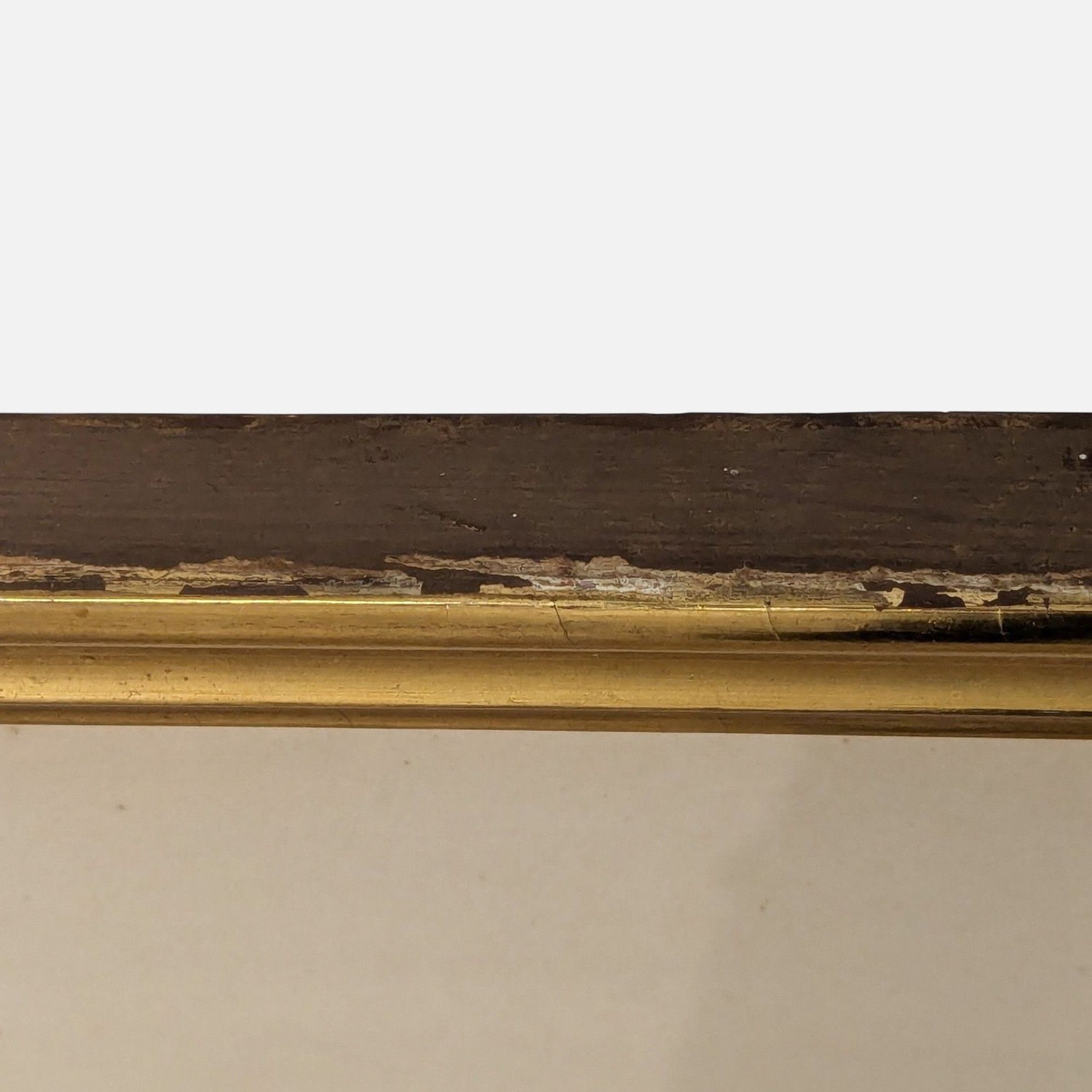 Framed Bird Art Print - image-4