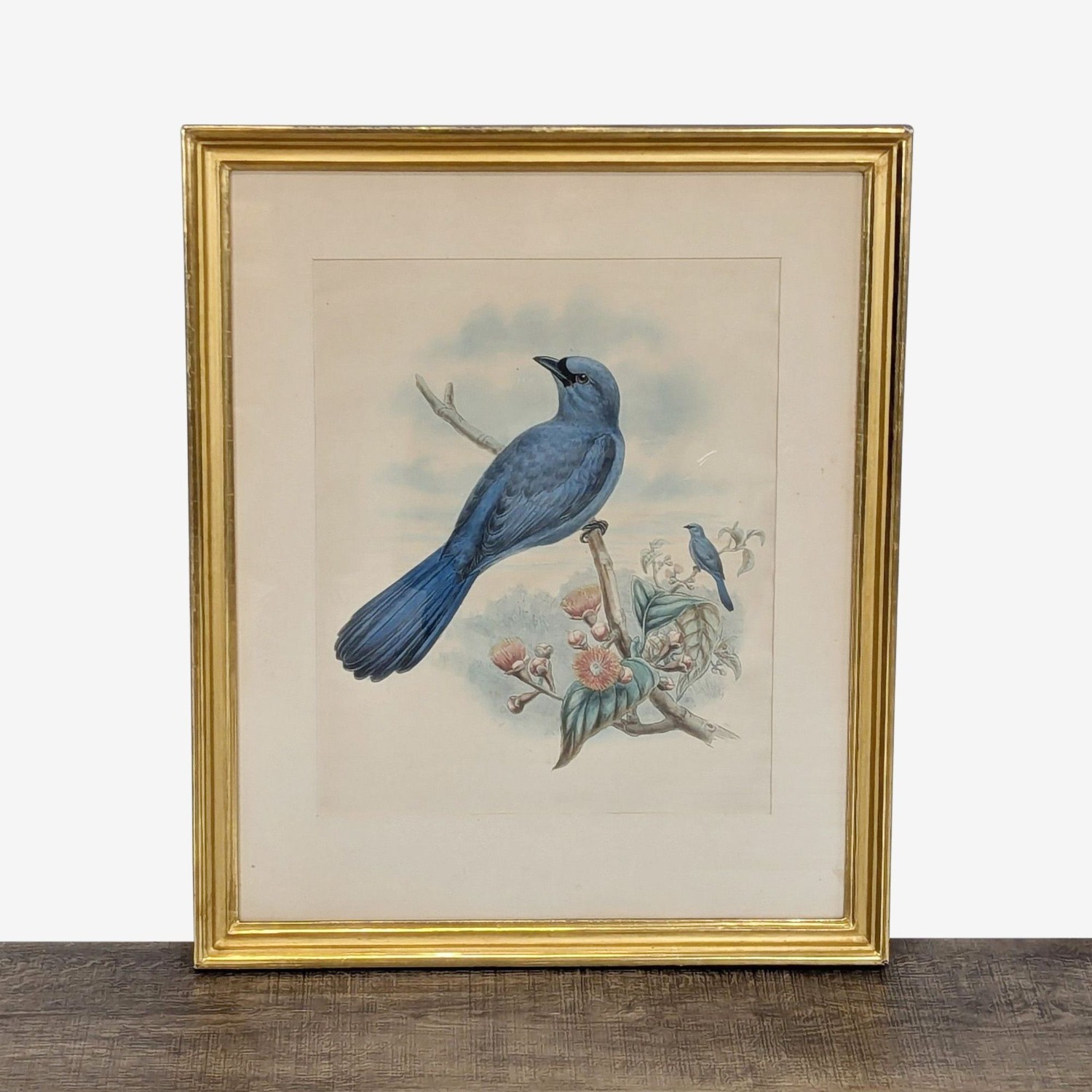 Framed Bird Art Print - image-1