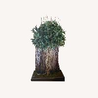 Vintage/Antique Décor