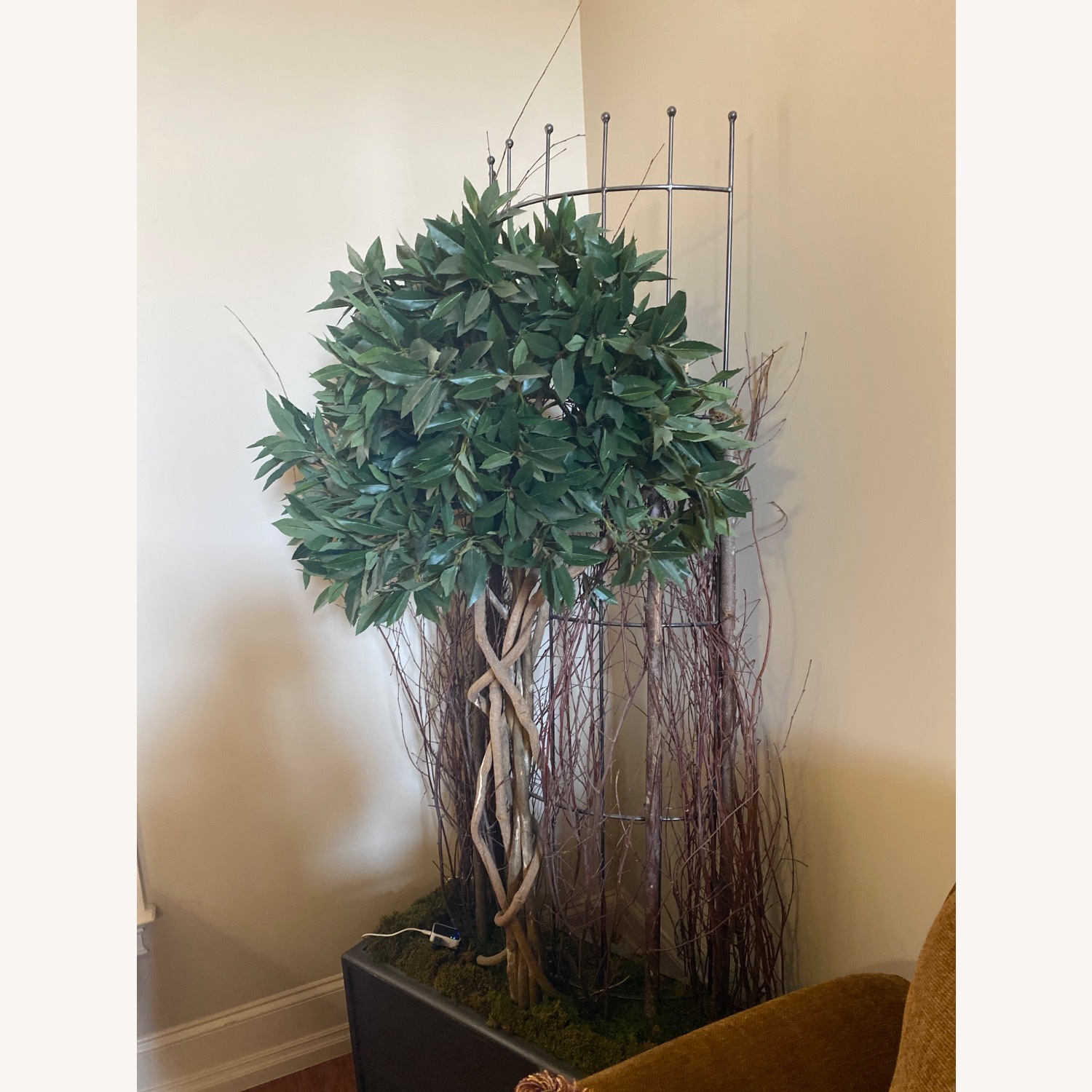 Vintage/Antique Décor - image-2