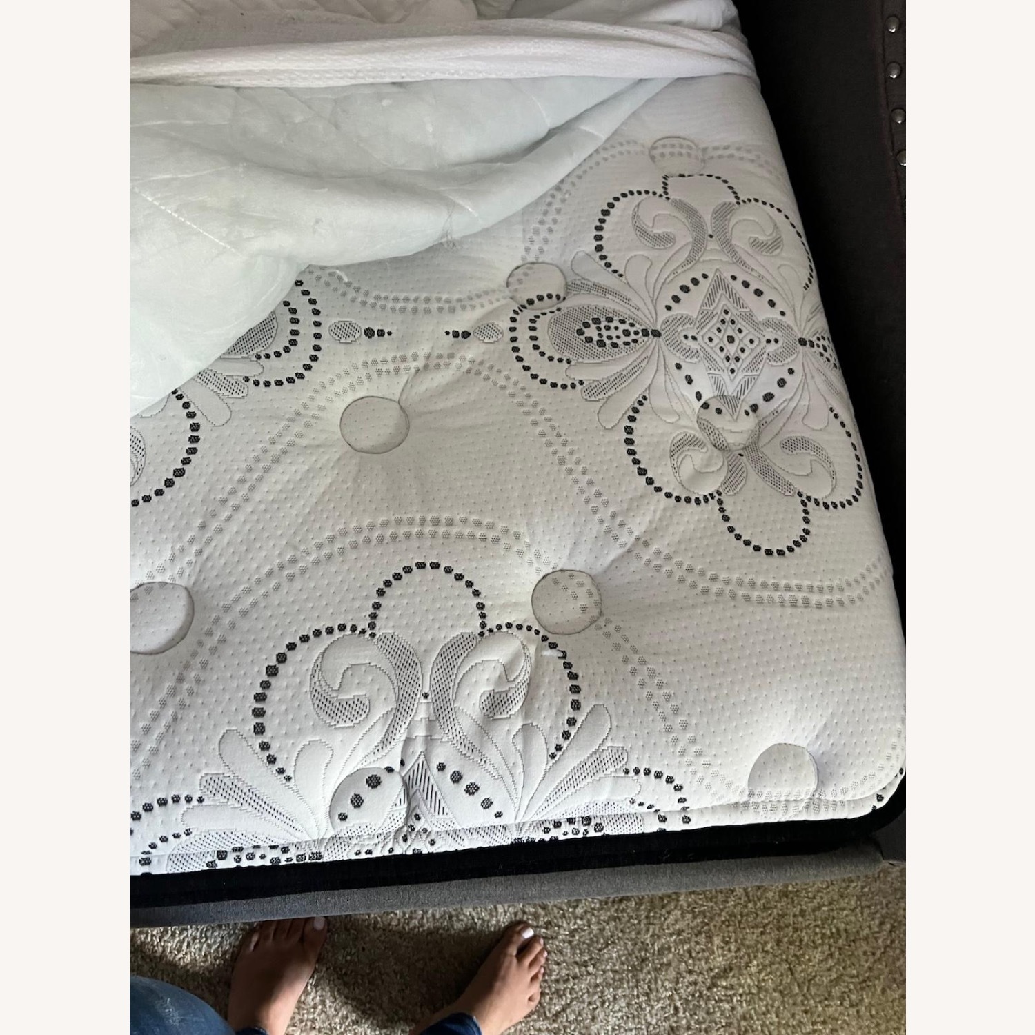 Bob's Discount Daybed - image-3