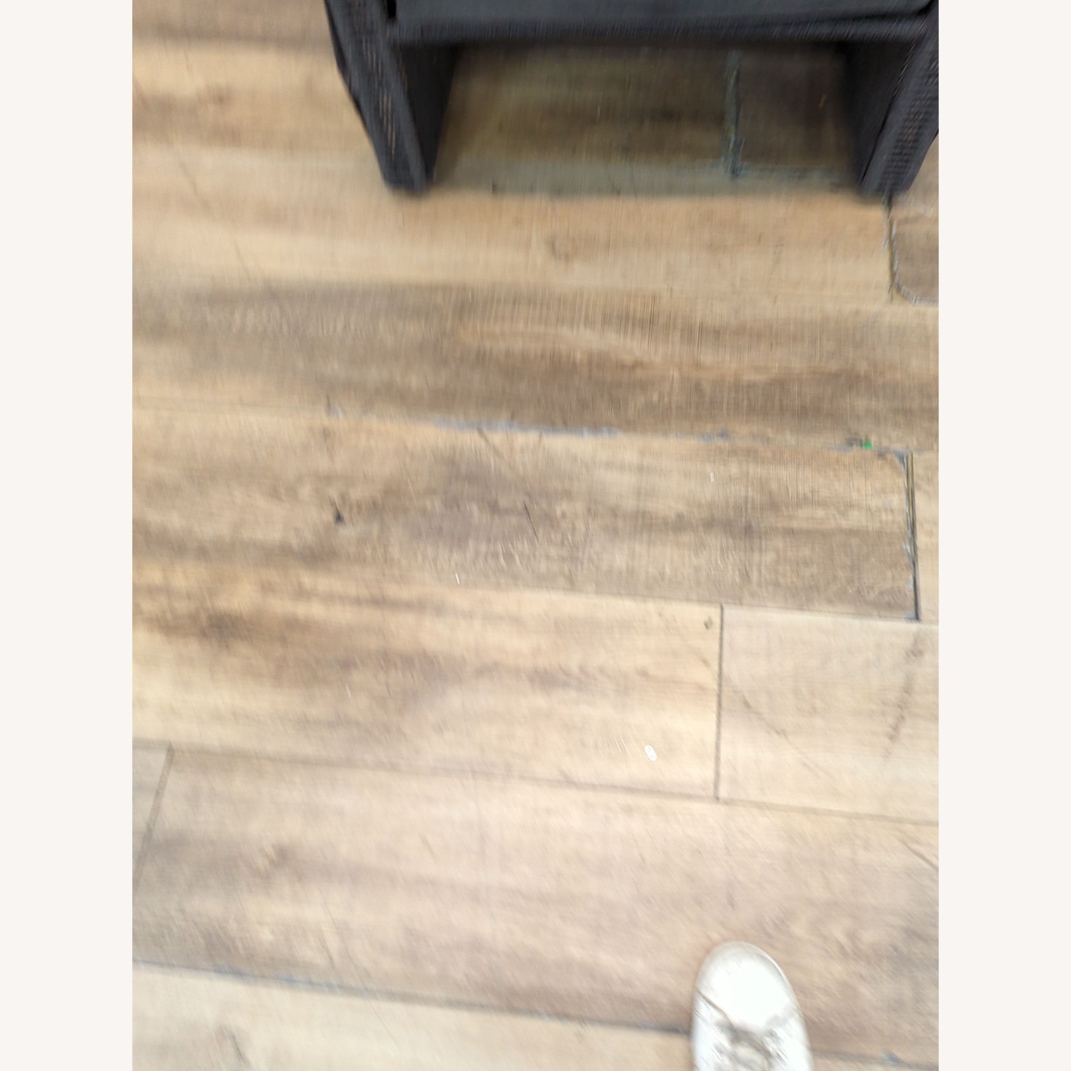 Holly Hunt Scarab Modern Outdoor Lounge Chair - image-4