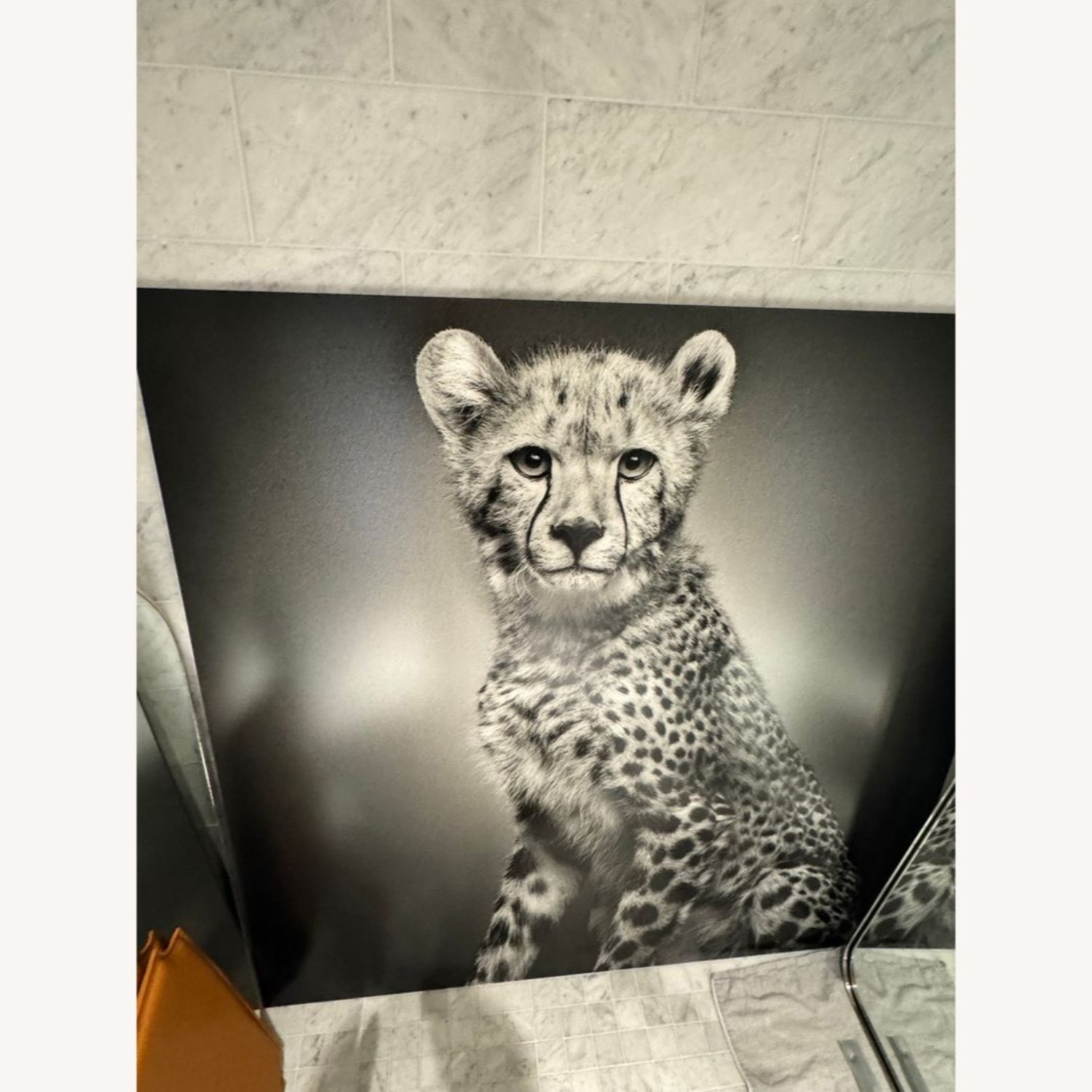 Alexander Von Reiswitz Limited Edition - image-1