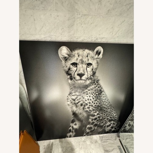 Used Alexander Von Reiswitz Limited Edition for sale on AptDeco