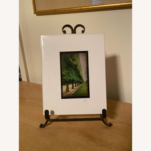 Used Harold Davis Photo of Luxembourg Gardens in Paris for sale on AptDeco