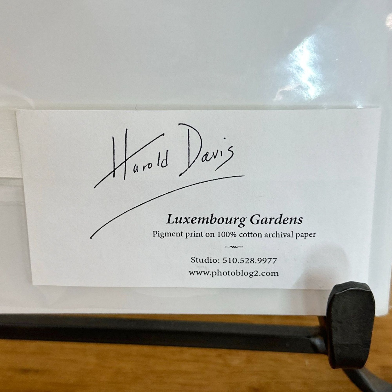 Harold Davis Photo of Luxembourg Gardens in Paris - image-3