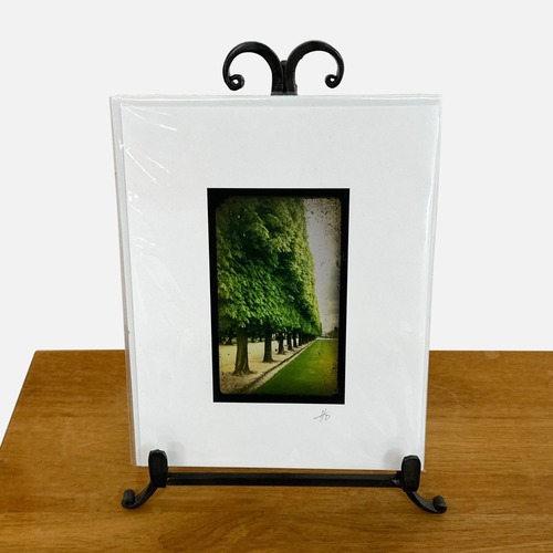 Used Harold Davis Photo of Luxembourg Gardens in Paris for sale on AptDeco